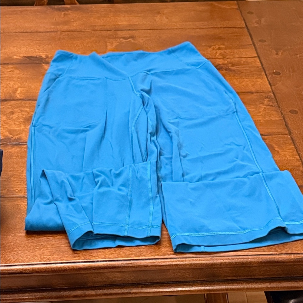 Size 10 blue teal align wide leg pants